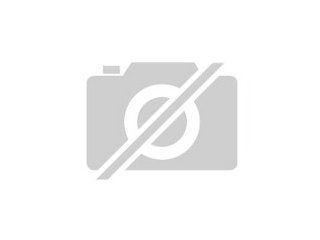 Virtuelle/r Assistent/in